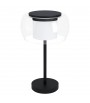 EGLO 99024 - LAMPE DE TABLE   - BRIAGLIA-C